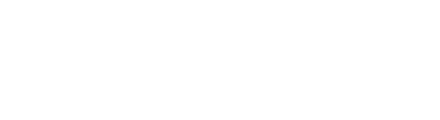 Anaisa logo